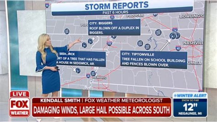 What Happened to Kendall Smith on Fox Weather? Unpacking Her Recent Absence